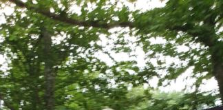 AKUT Sporcuları Gece Koşusunda