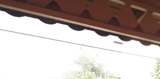 Sporcumuz Ayşegül Yılmaz Yine Kürsüde!