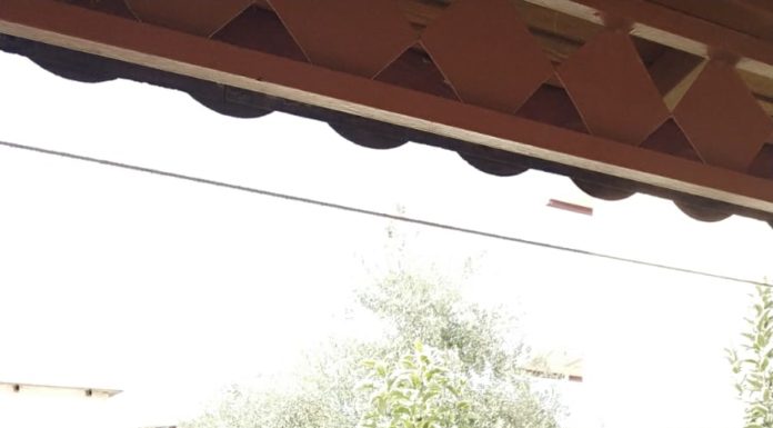 Sporcumuz Ayşegül Yılmaz Yine Kürsüde!