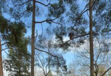 AKUT Spor Kulübü Sporcusu İbrahim Çöp yine kürsüdeydi