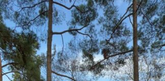 AKUT Spor Kulübü Sporcusu İbrahim Çöp yine kürsüdeydi