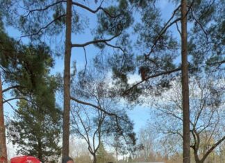 AKUT Spor Kulübü Sporcusu İbrahim Çöp yine kürsüdeydi