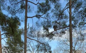 AKUT Spor Kulübü Sporcusu İbrahim Çöp yine kürsüdeydi