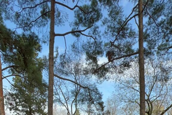 AKUT Spor Kulübü Sporcusu İbrahim Çöp yine kürsüdeydi