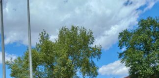 AKUT Sporcuları Bursa`da koştu.