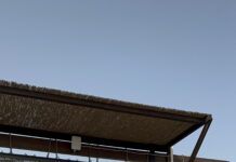 Kite Foil Grand Master Dünya Şampiyonu sporcumuz Bilge Öztürk