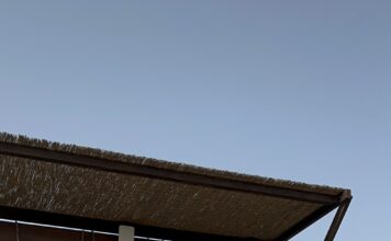 Kite Foil Grand Master Dünya Şampiyonu sporcumuz Bilge Öztürk