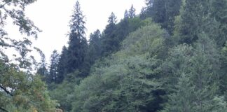 AKUT SK Sporcusu Emre Tekke Sümela Ultra Maratonunda Kürsüde