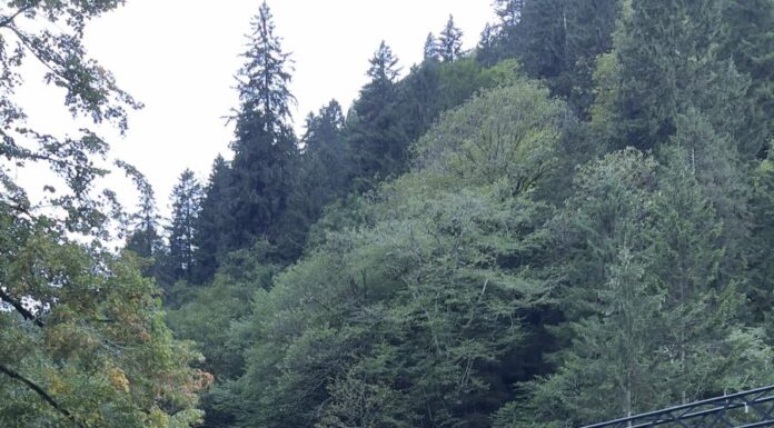 AKUT SK Sporcusu Emre Tekke Sümela Ultra Maratonunda Kürsüde