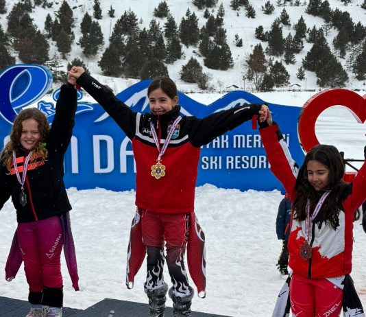 Erzincan Minikler Festivali